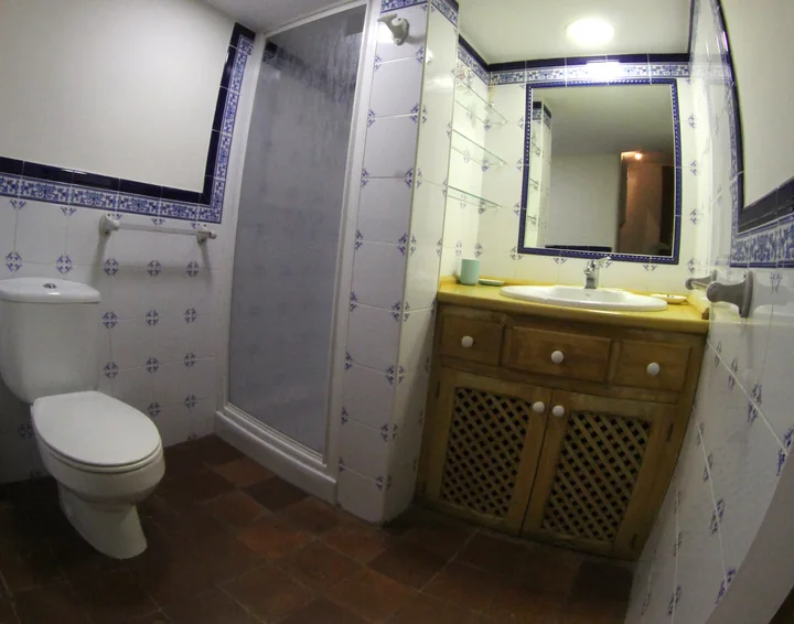 Interior · baño de abajo, con ducha, lavabo e inodoro.